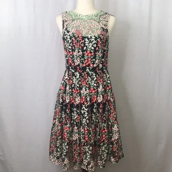 ANTHROPOLOGY HD in Paris Embroidered Emilia Women's Dress Sz 4 - Picture 4 of 11